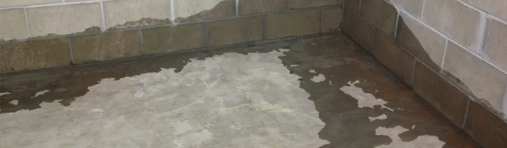 Is your wet basement sucking you dry?