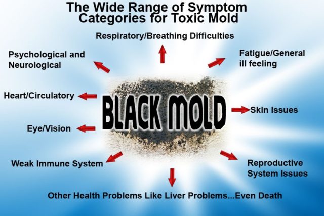 Mold symptoms