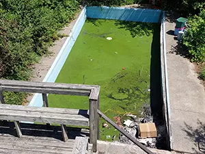 green water swimming pool