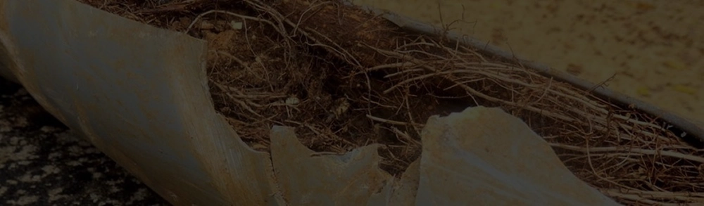 Old sewer line inspection in a KC metro home revealing outdated piping issues