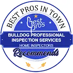 Best pros in town award badge 2026