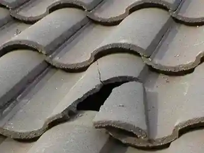 broken concrete roof tile