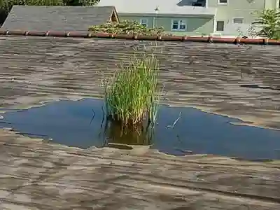 ponding water on flat roof