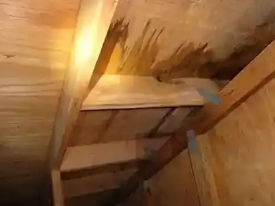 roof inspection goes into the attic