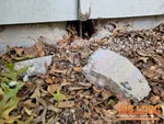 Exterior foundation damage at 10818–10820 W 75th St, Shawnee, KS 66203 (39.0258N, 94.7120W) from main beam found during duplex inspection.