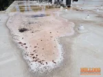 Ponding water on flat roof uncovered during inspection of Jefferson On The Plaza, a 55-year-old multifamily building in the Plaza Westport area of Kansas City, MO (39.0474N, 94.5942W).