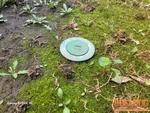 termite-bait-traps-belton-mo-15803-hight-ave-64012-38.8353247N-94.503336W-bulldog-home-inspections-20250812_105429 Termite bait station at 21-year-old split-level home in Hardee Meadows subdivision of Belton, MO — 64012 (38.8353N, 94.5033W)