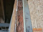 termite-damage-kansas-city-mo-3644-n-woodland-ave-64116-39.16095110N-94.55877290W-bulldog-home-inspections-20250922_152338 Termite damage around basement door of 72-year-old investor flip in River Forest subdivision of Kansas City, MO — 64116 (39.1610N, 94.5588W)