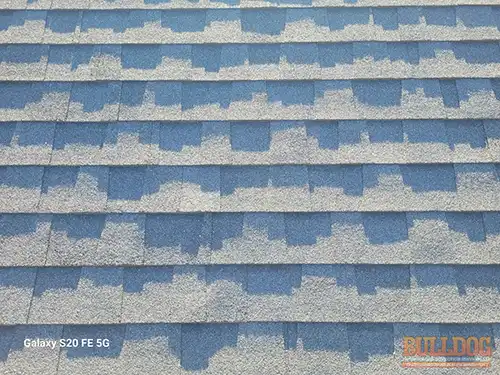 5-year-old-north-side-shingles-kansas-city-mo-2804-ne-parvin-rd-64117-39.16343860N-94.54669300W-bulldog-home-inspections-20251208_111413 5-year-old north side shingles in good condition - Brookwood subdivision, Kansas City, MO - December 2025