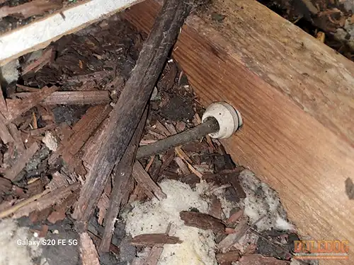 hot-knob-n-tube-wiring-st-joseph-mo-2908-charles-st-64501-39.76490330N-94.82162770W-bulldog-home-inspections-20251217_131859 Active knob-n-tube wiring in attic - Brookdale Addition, St. Joseph, MO - December 2025 - 105-year-old bungalow