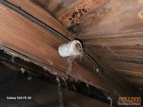 knob-n-tube-wiring-attic-st-joseph-mo-2908-charles-st-64501-39.76490330N-94.82162770W-bulldog-home-inspections-20251217_132030 Knob-n-tube wiring suspended from joists - Brookdale Addition, St. Joseph, MO - December 2025 - 105-year-old bungalow