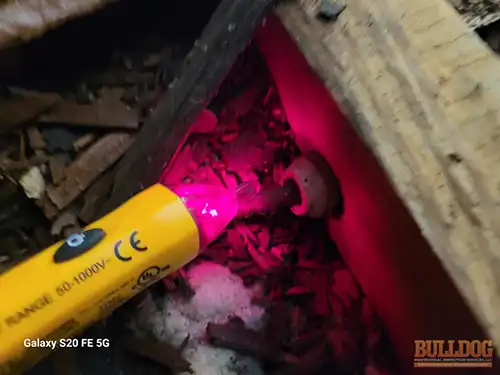 live-knob-n-tube wiring-st-joseph-mo-2908-charles-st-64501-39.76490330N-94.82162770W-bulldog-home-inspections-20251217_131845 Exposed live knob-n-tube wiring - Brookdale Addition, St. Joseph, MO - December 2025 - 105-year-old bungalow