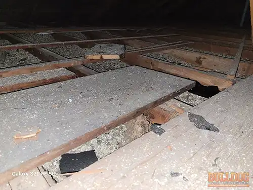 vermiculite-insulation-in-attic-blue-springs-mo-1805-sw-14th-st-64015-38.99807710N-94.28272530W-bulldog-home-inspections-20251218_175929 Vermiculite insulation with grayish-gold pebble-like texture in attic - Cherokee Estates, Blue Springs, MO - December 2025