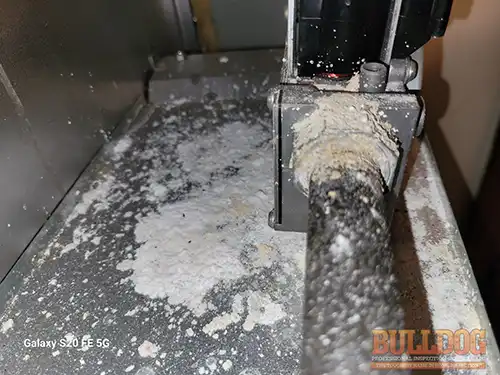zinc-oxide-inside-furnace-kansas-city-ks-6851-garfield-dr-66102-39.12537190N-94.73748000W-bulldog-home-inspections-20251204_150433 Zinc oxide powder inside furnace cabinet - Cedarholm subdivision, Kansas City, KS - December 2025