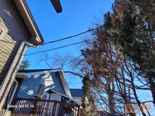 Power lines running through tree growth in Kansas City, MO – 64111 (39.04529990N, 94.60606550W)