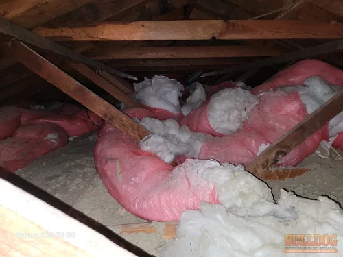 Image of polyfill insulation in attic at Terrace Lake Gardens subdivision of Kansas City, MO. 64137