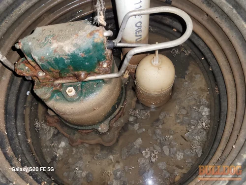 Image of sump pump close-up in Hazelwood Villas subdivision of Kansas City, KS 66109